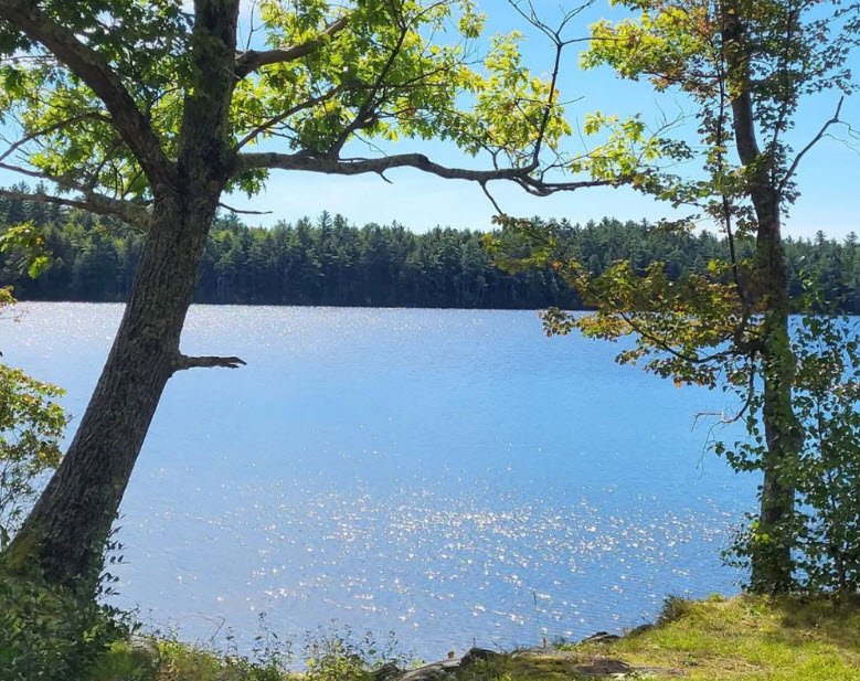 Lake St. George State Park, Maine, USA